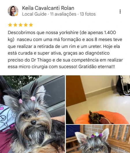 Avaliação 5 estrelas