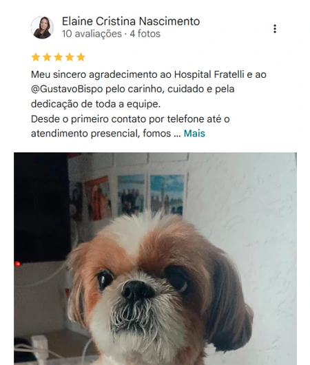 Avaliação 5 estrelas